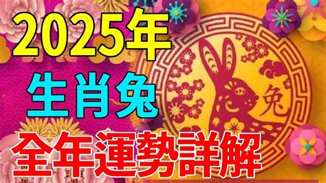 2024年屬兔運勢|【2024 屬兔運程】免驚！2024年屬兔運勢全攻略 逆轉。